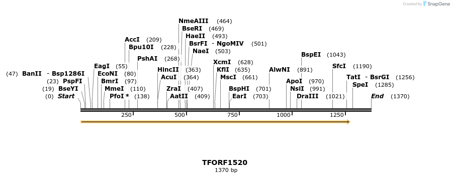 277636_map