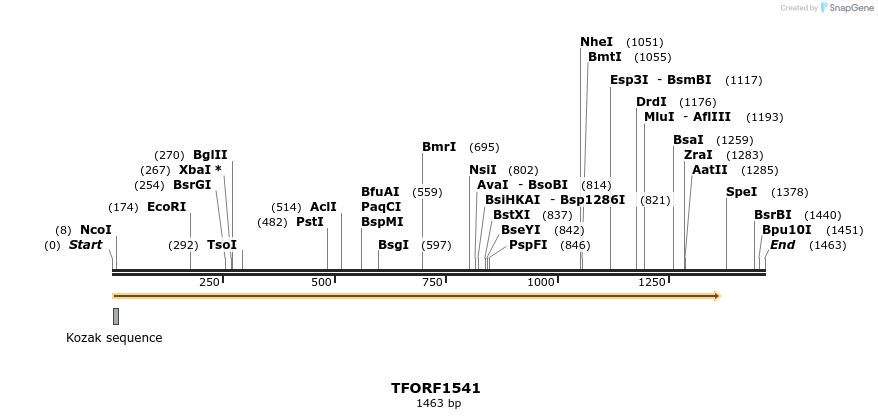 277639_map