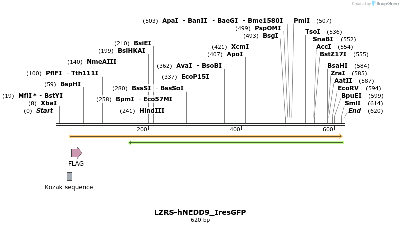 27764_map