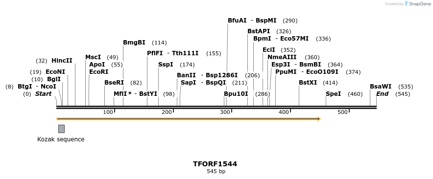 277642_map