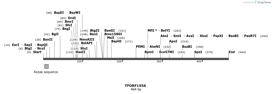 277648_map