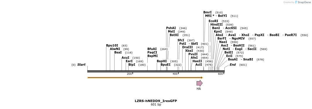 27765_map