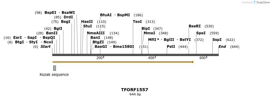 277651_map