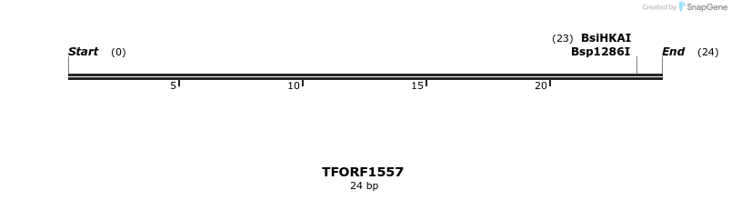 277652_map