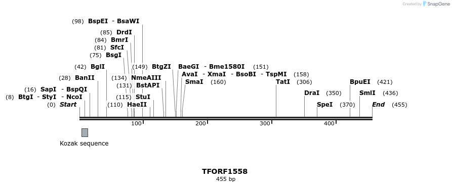 277654_map