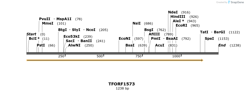 277663_map