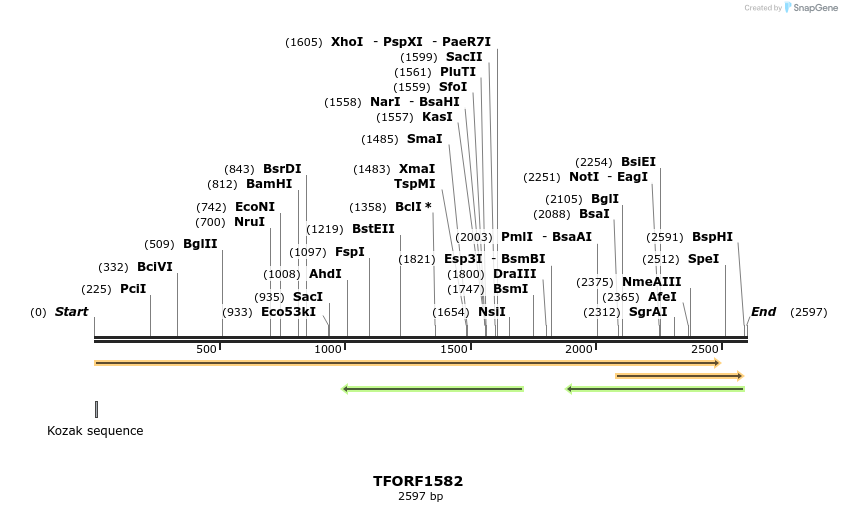 277666_map