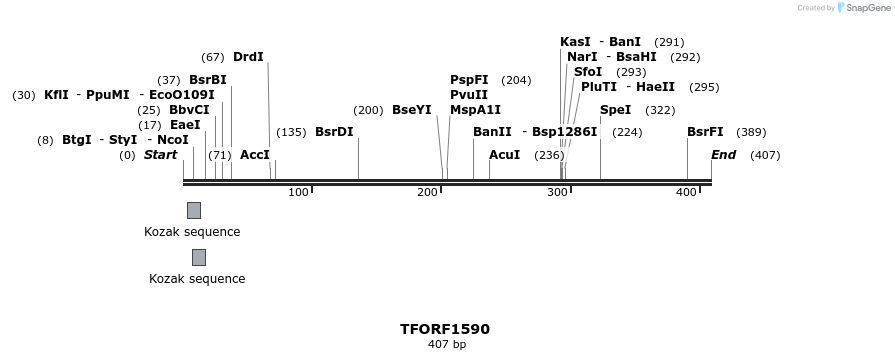 277669_map