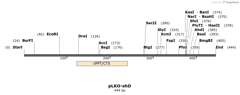 27767_map