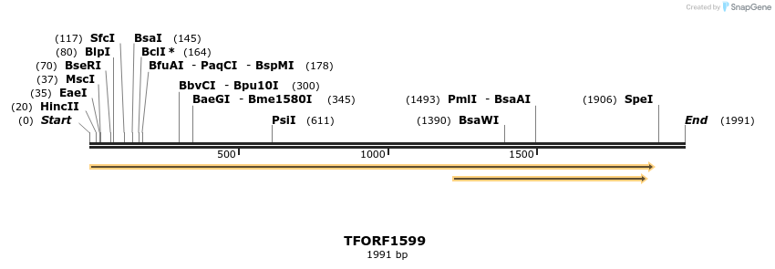 277672_map