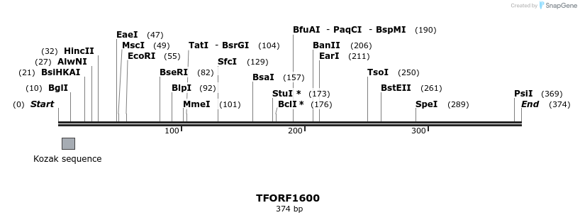 277675_map