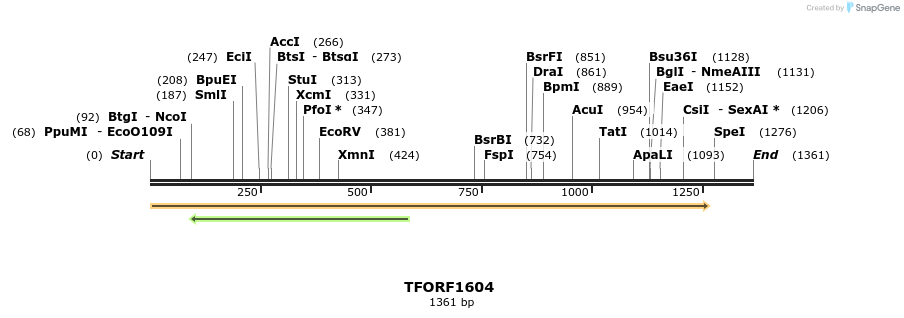 277678_map