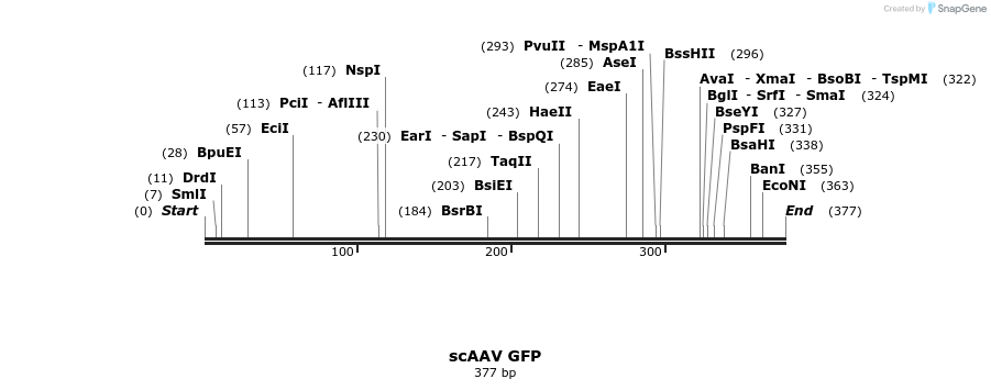27768_map