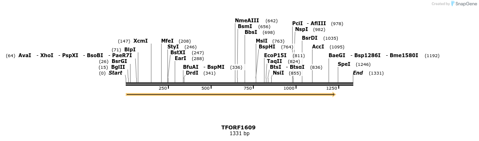 277681_map