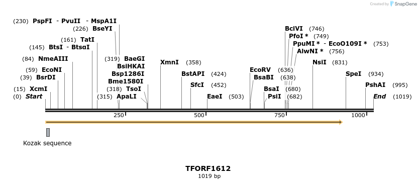 277684_map