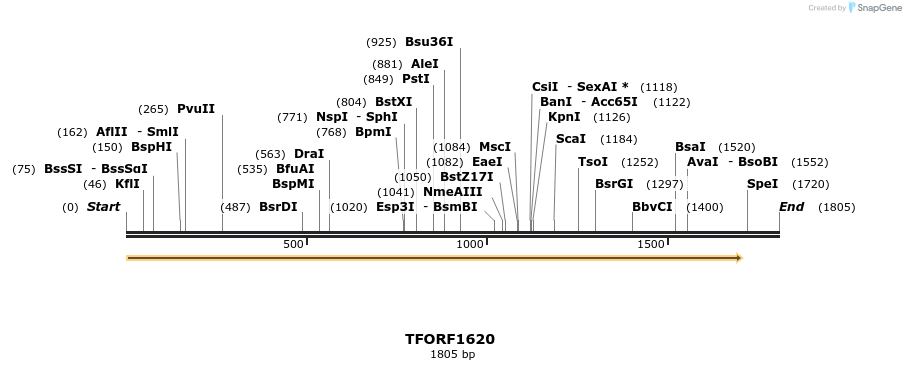 277687_map