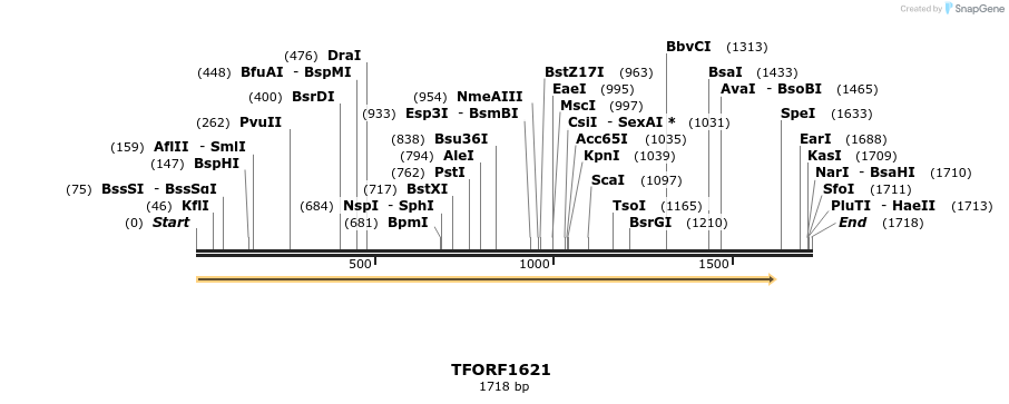 277690_map