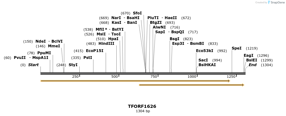 277693_map