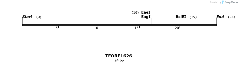277694_map