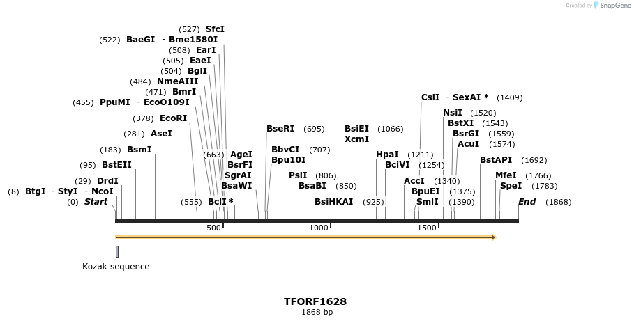 277696_map
