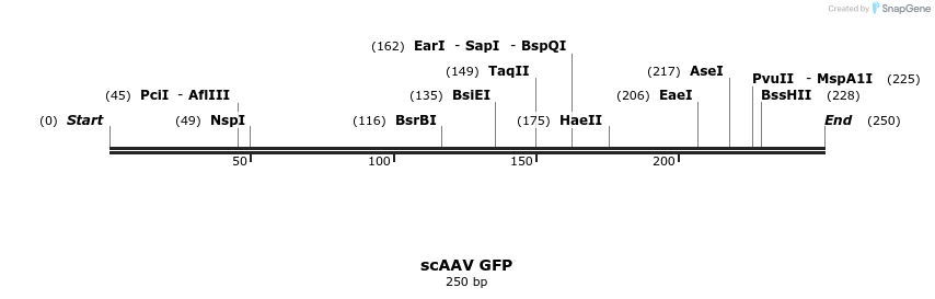 27770_map