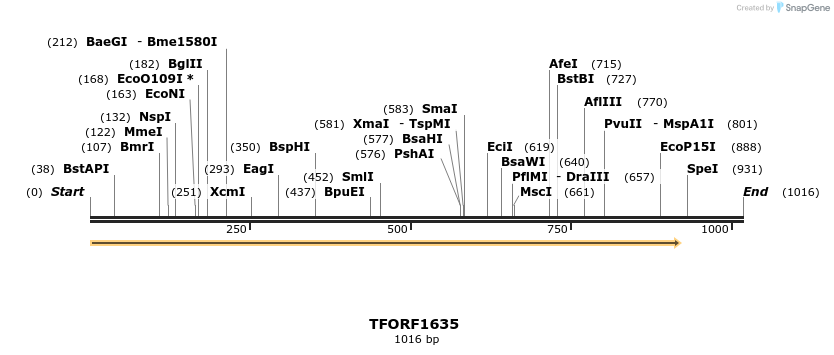 277702_map