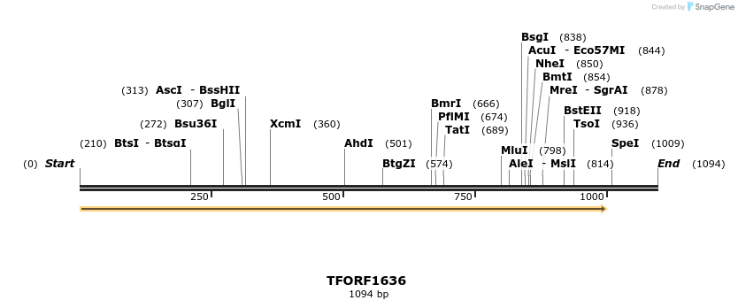 277705_map