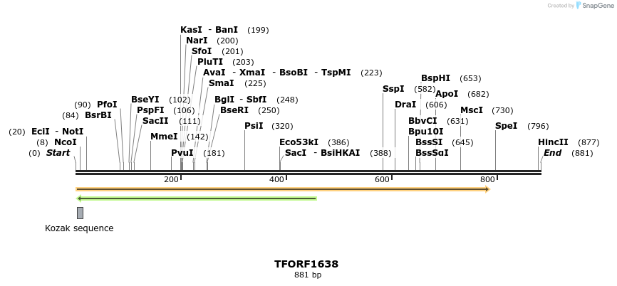 277708_map
