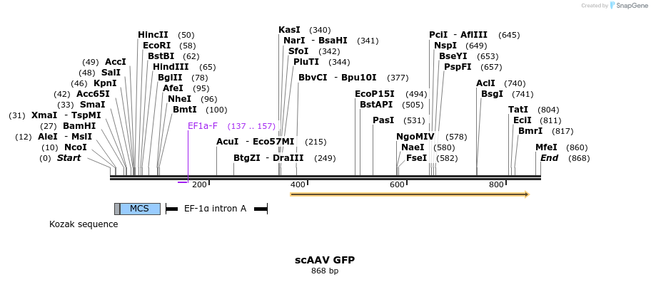 27771_map