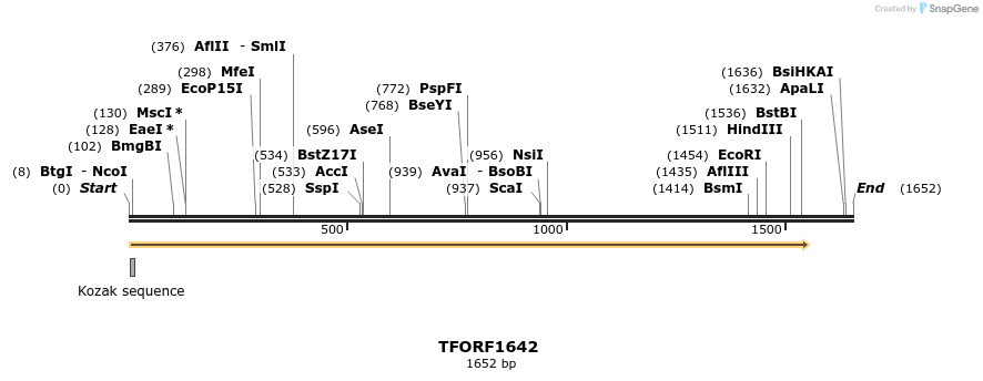277711_map