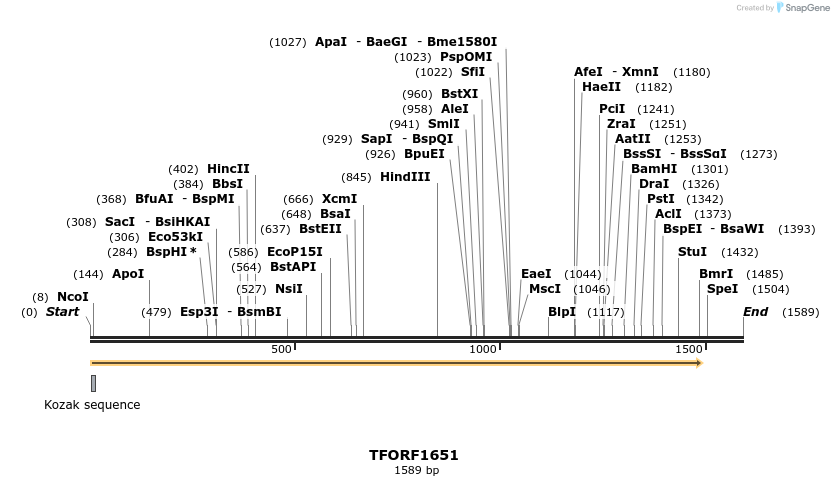 277717_map