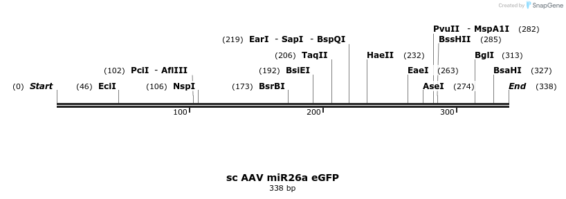 27772_map