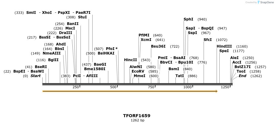 277723_map