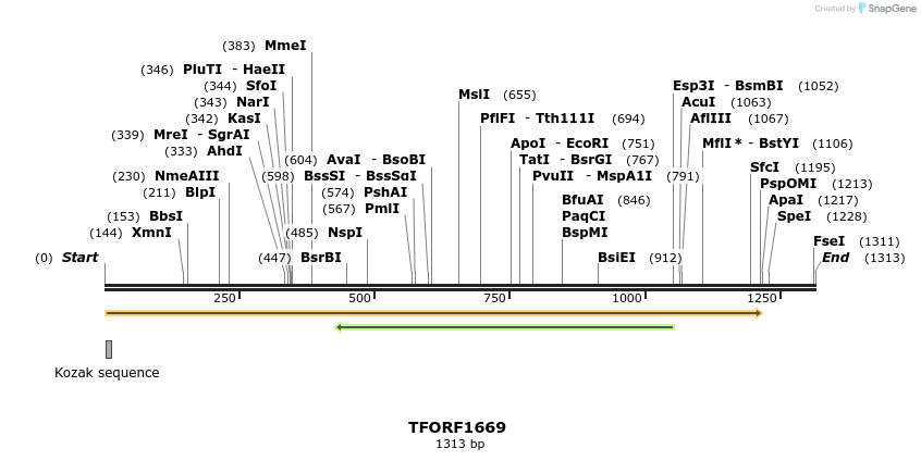 277729_map