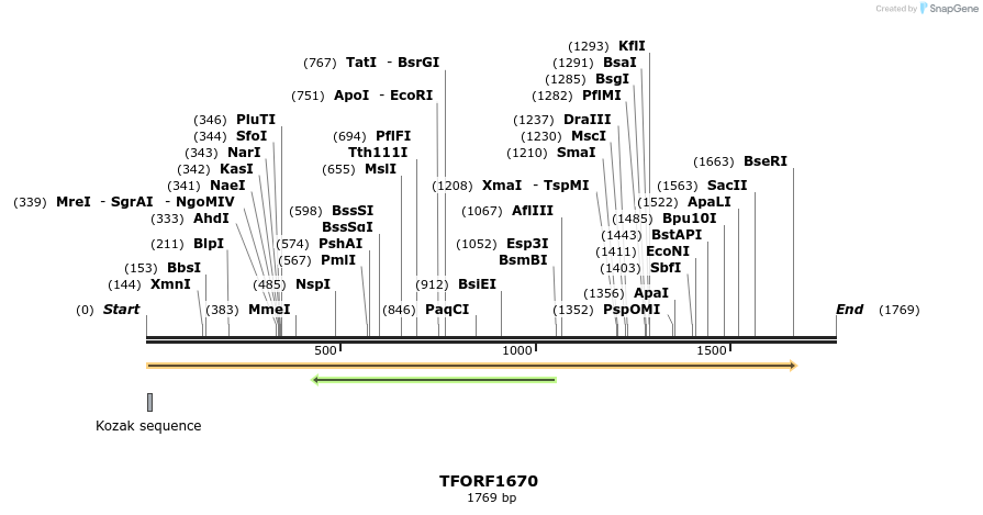 277732_map