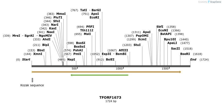 277735_map