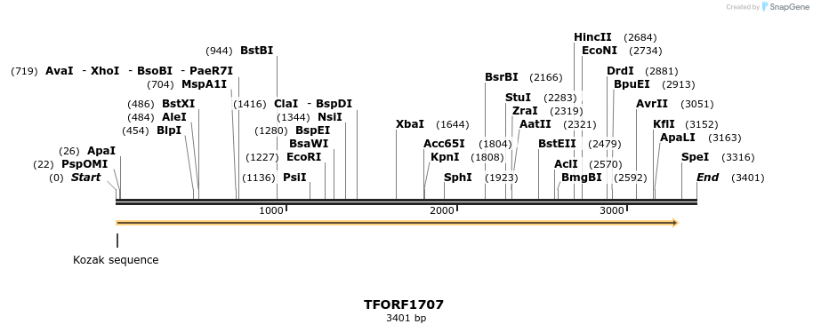 277741_map