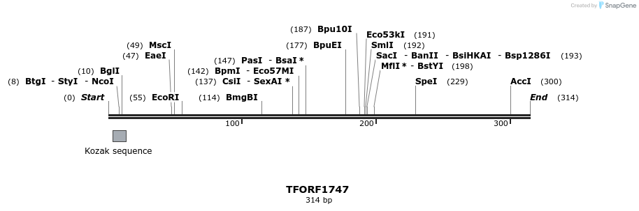 277750_map
