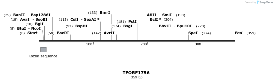 277753_map