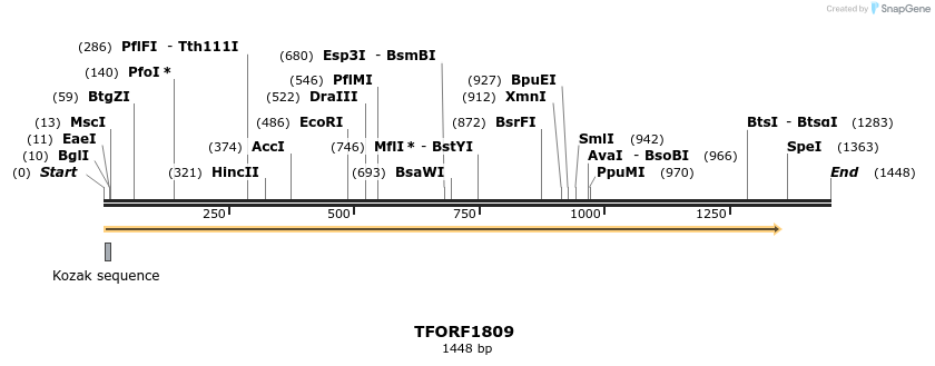 277756_map