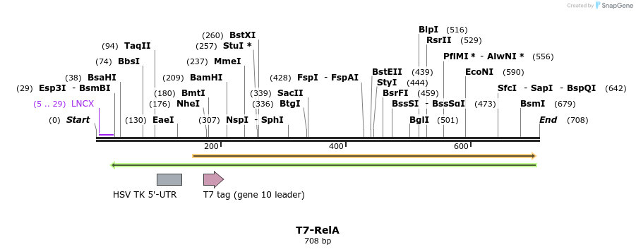 27776_map