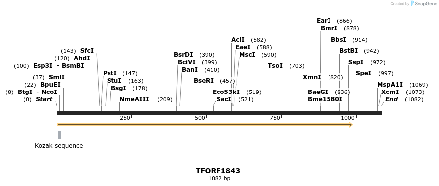 277768_map
