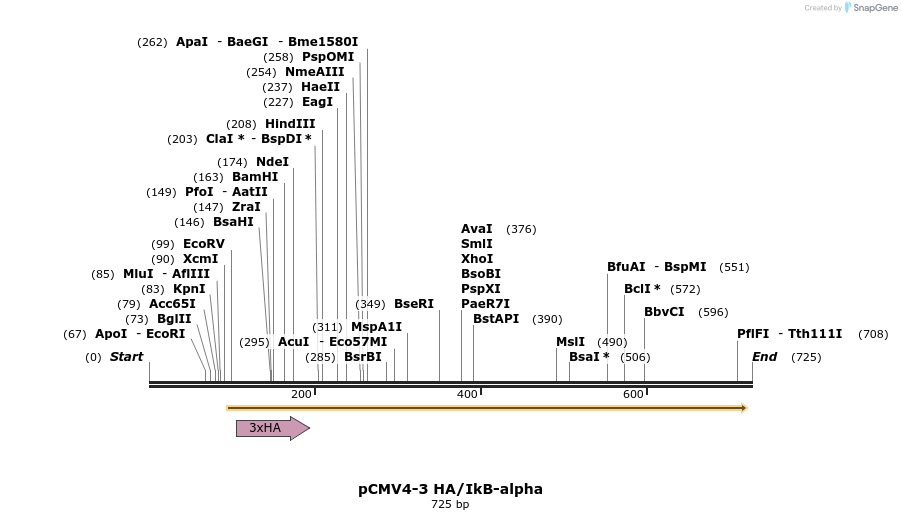 27777_map