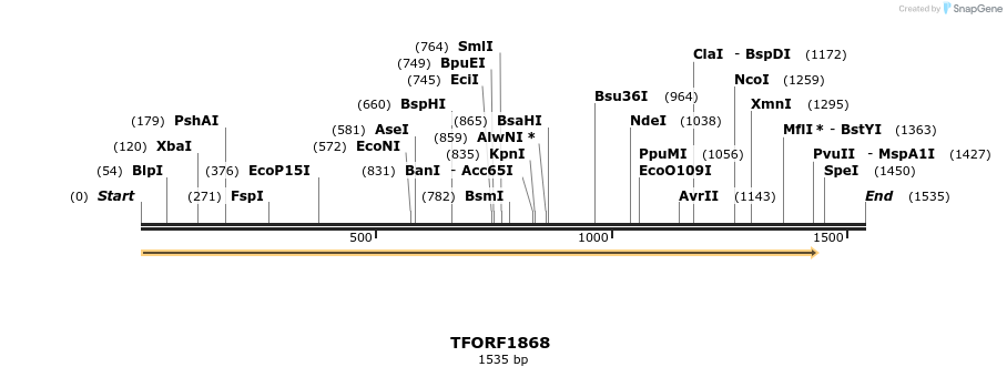 277771_map