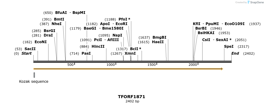 277774_map