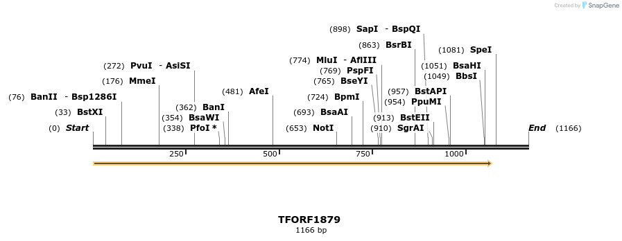 277777_map