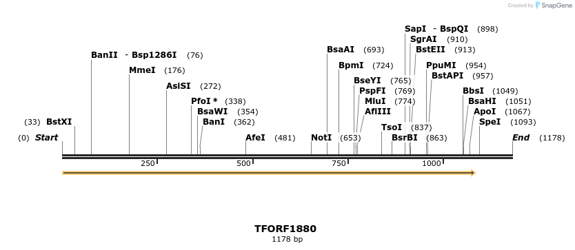 277780_map