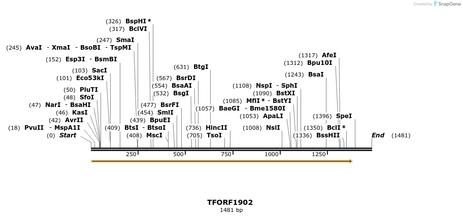277783_map