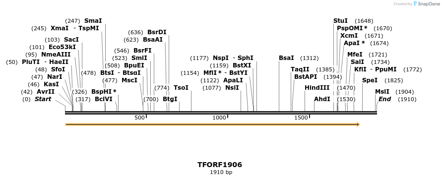 277786_map