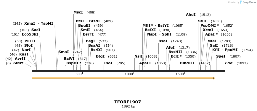 277789_map